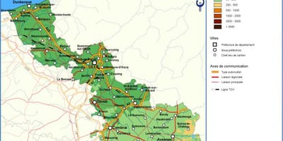 Topographic نقشے کے للی